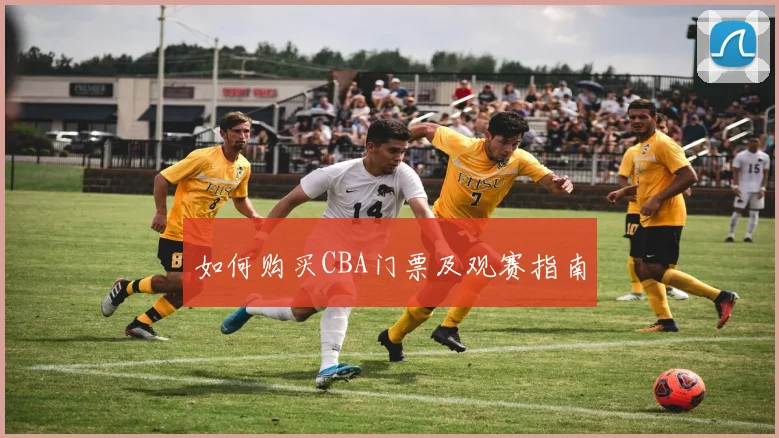 如何购买CBA门票及观赛指南