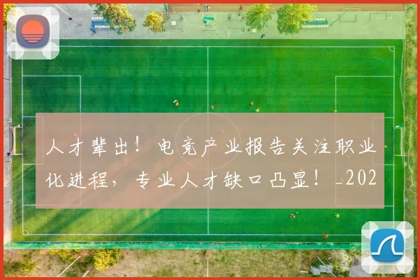人才辈出！电竞产业报告关注职业化进程，专业人才缺口凸显！_20260703213802